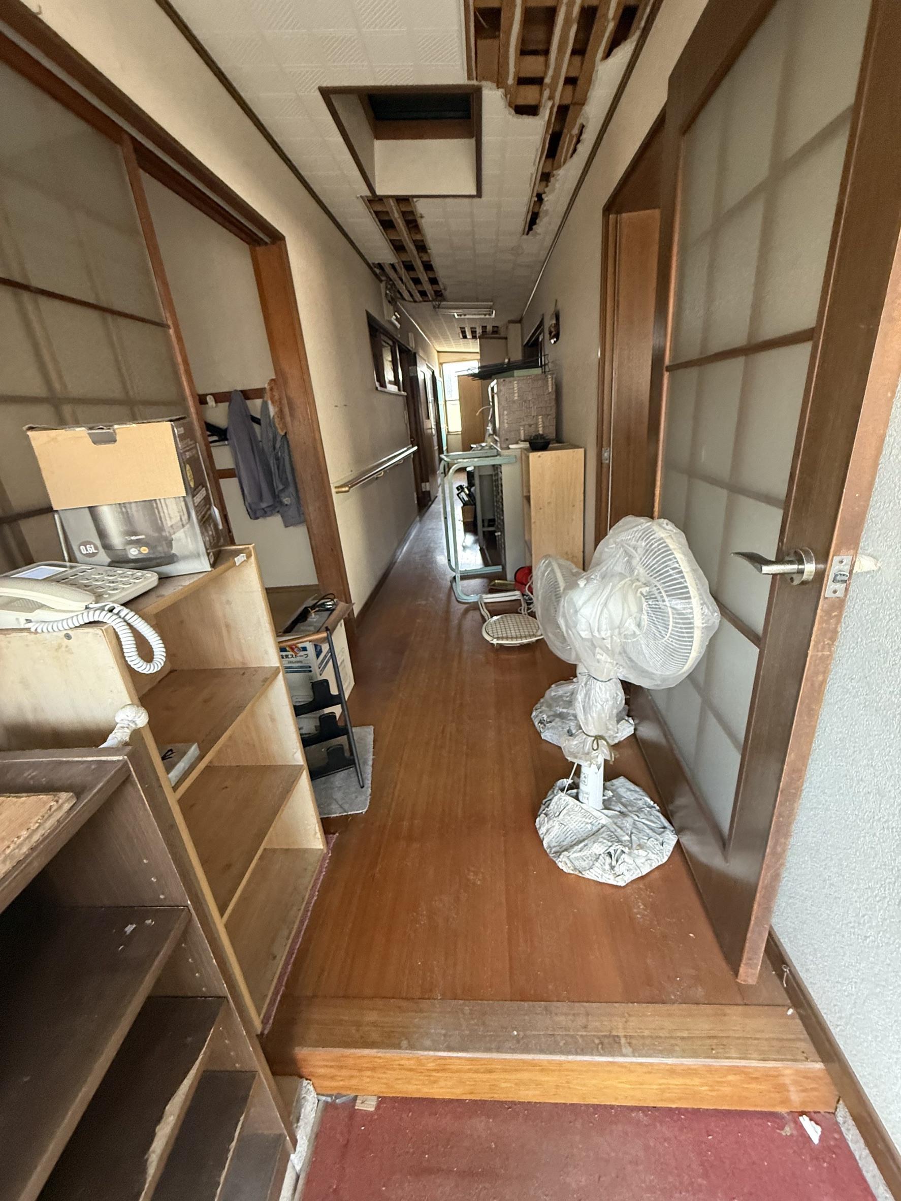 ギャラリー画像 5